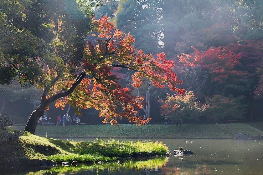 🌳 오토메야마 공원(신주쿠 구립 오토메야마 코엔) 이미지 1